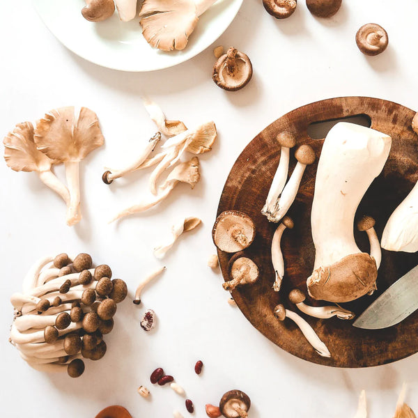 LONGEVITY COMPLEX od Gabriely Peacock